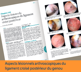 publication SFA
