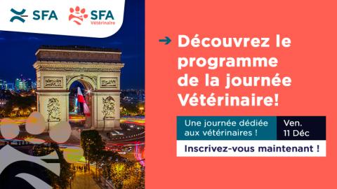 SFA_banner_Vet-prog-765x430