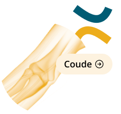 icon-coude