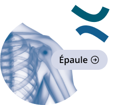 icon-epaule