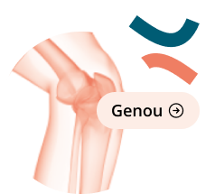 icon-genou