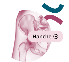 icon-hanche