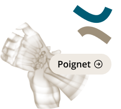 icon-poignet